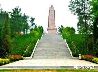 【华夏诗词】分享胡清普《观九岭岗》请欣赏(图6)