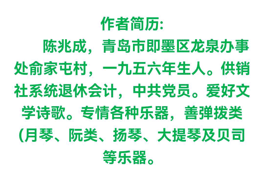 【华夏诗词】推介（山东）优秀诗人陈兆成《巴以冲突》请关注（图11）