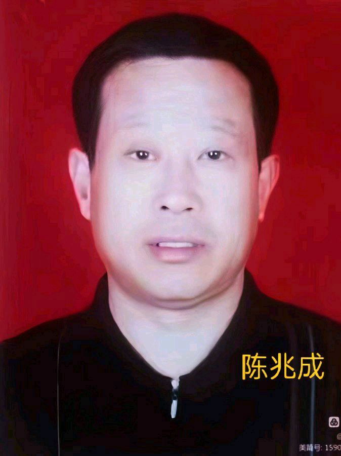 【华夏诗词】推介（山东）优秀诗人陈兆成《巴以冲突》请关注（图10）