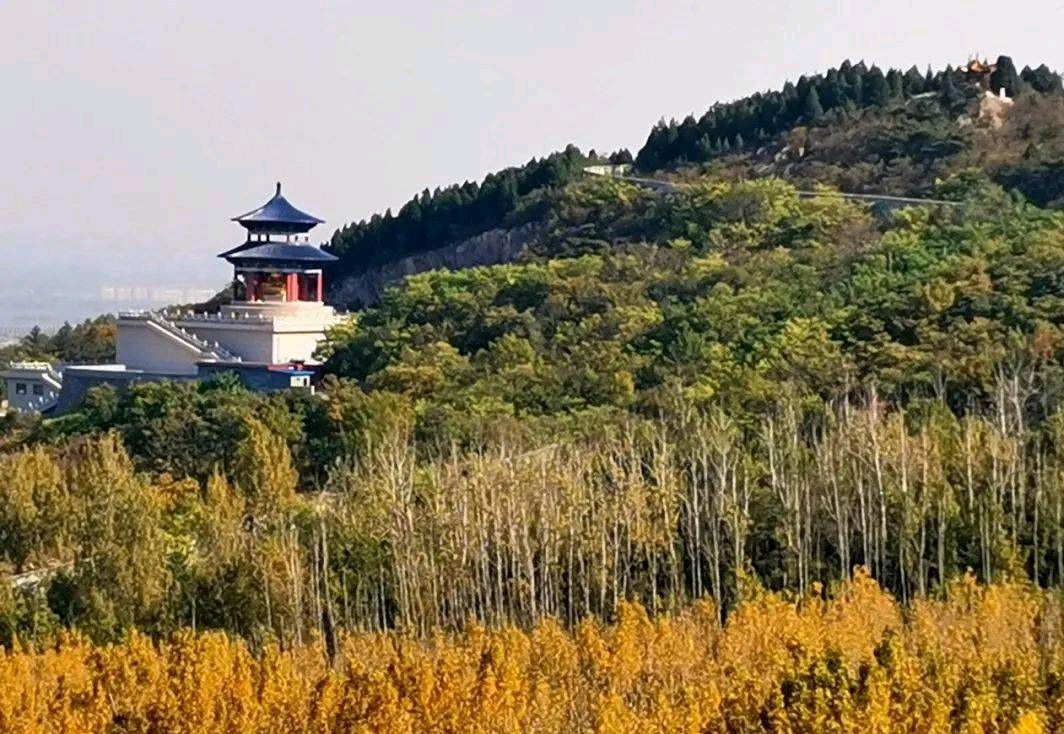 【华夏诗词】分享（山风 本溪）优秀诗人冯其兰《鹧鸪天·秋游》请欣赏（图7）