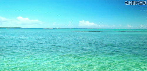 【枫雅汇看图约诗】第306期《大海》（图5）