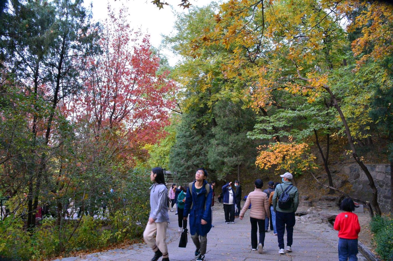 【华夏诗词】分享（山东）优秀诗人沈沛忠老师《巴山秋色》外五首请欣赏（图6）
