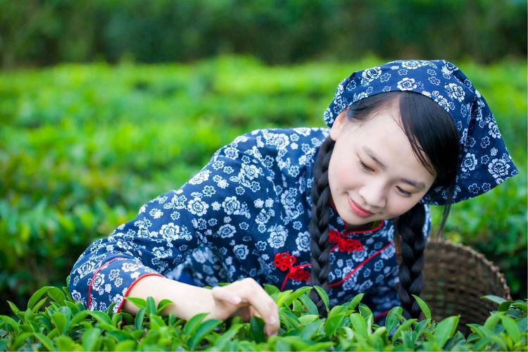 【大东方诗画社】分享优秀作家诗人方亮老师《采茶姑娘》请欣赏（图6）