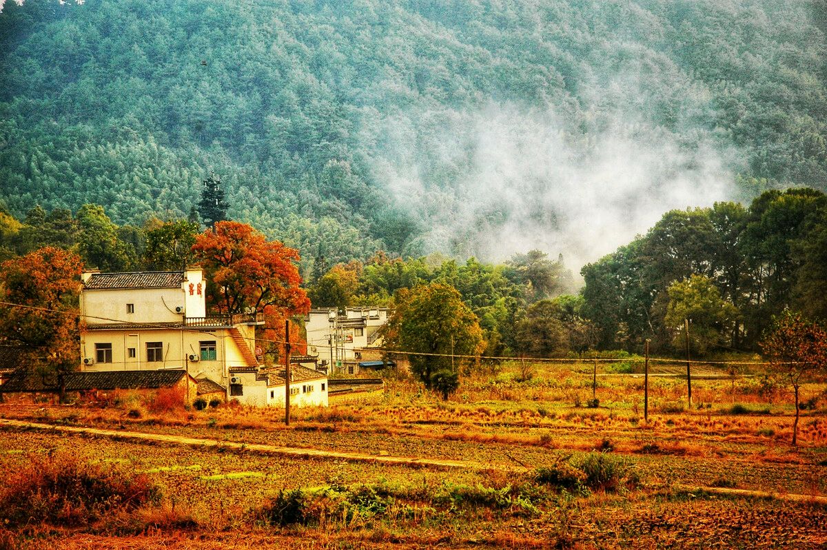 【华夏诗词】分享优秀诗人牟福香老师《七律·暮秋乡村》外两首请欣赏（图4）