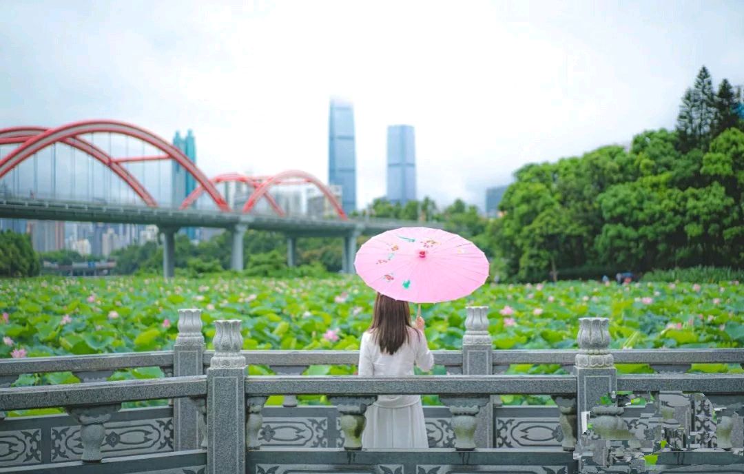 【华夏周刊】第162期合辑