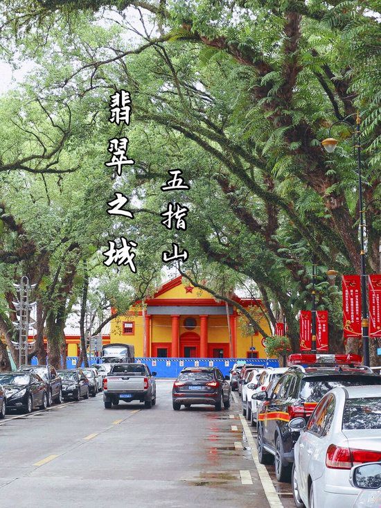 【华夏诗词】分享优秀作家诗人姚树学老师《五指山风情》五首请欣赏（图7）