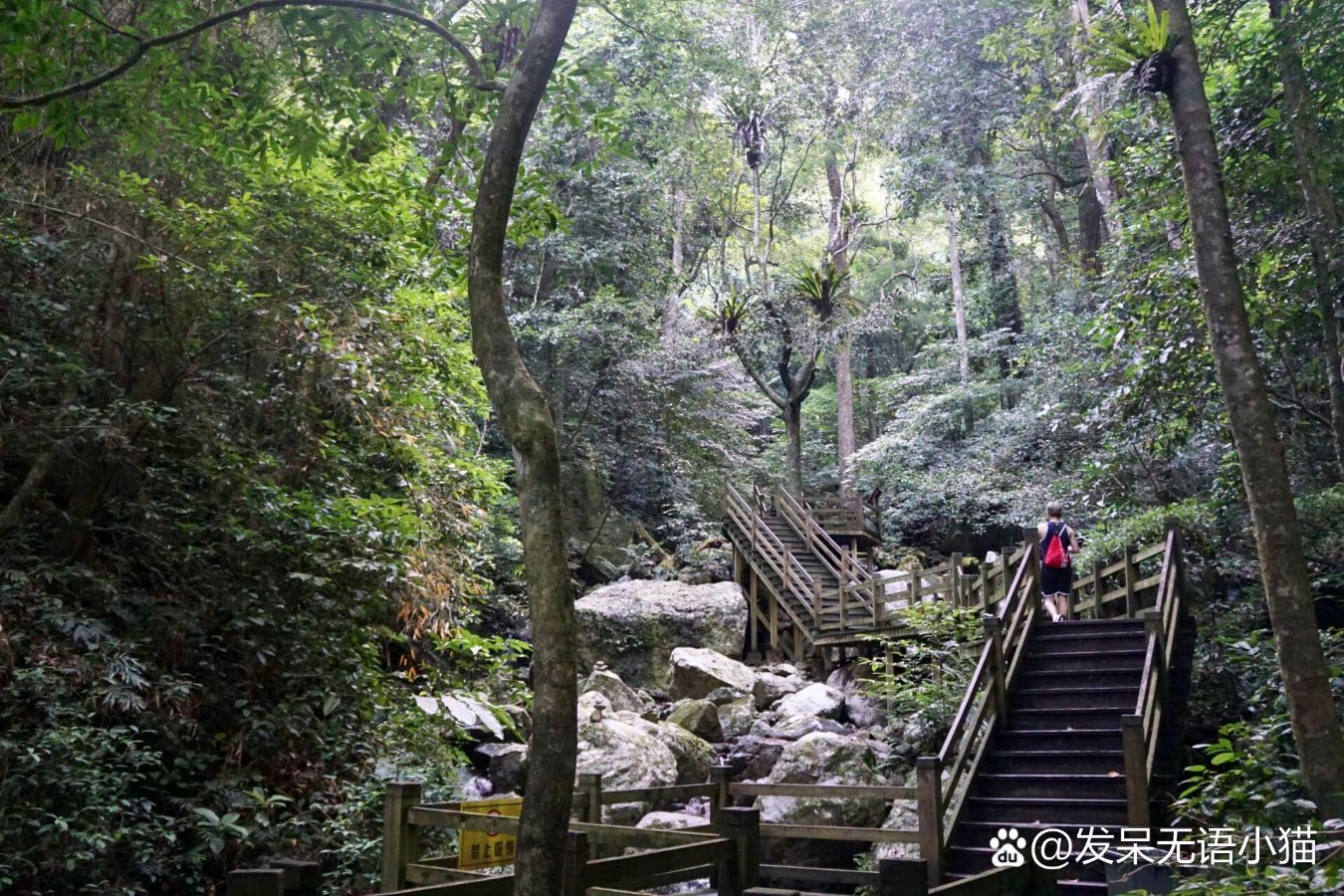 【华夏诗词】分享优秀作家诗人姚树学老师《五指山风情》五首请欣赏（图5）