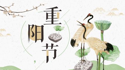 【华夏诗词】分享（四川）优秀诗人灯火阑珊老师《重阳节》（原创）请欣赏（图4）
