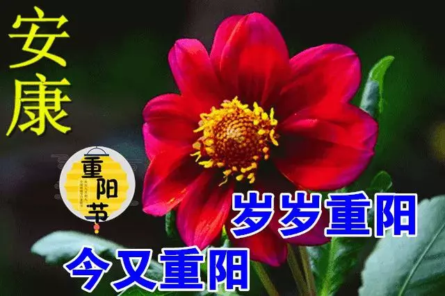 【北京头条】分享（内蒙）优秀诗人李景文《重阳节》请欣赏（图4）