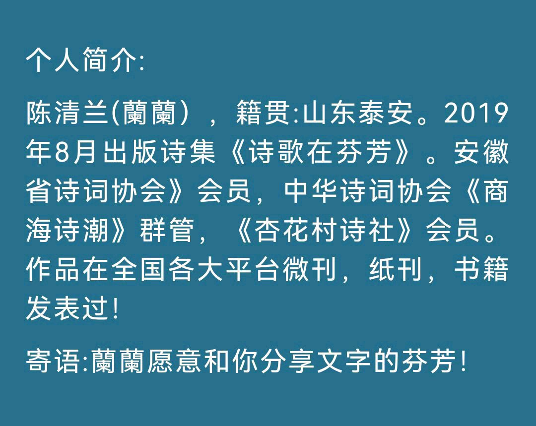 【中华好诗词】分享优秀诗人陈清兰《重阳》请欣赏（图10）