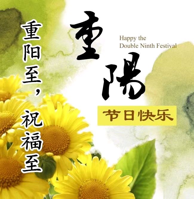 今又重阳-文/雪荷仇学慧-西银/北京头条（图2）