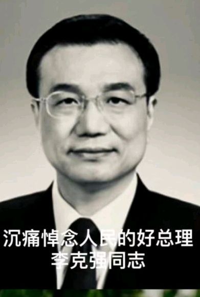 沉痛悼念克强总理/作者/丁家九（图3）