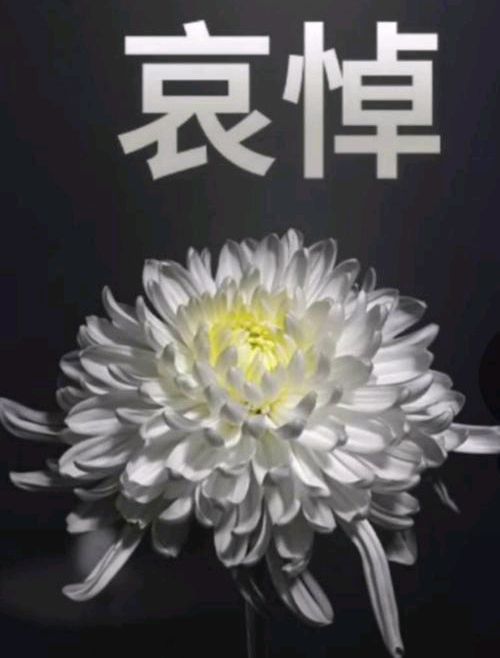 沉痛悼念克强总理/作者/丁家九（图2）
