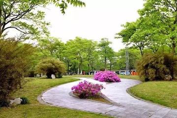 【中华好诗词】分享李周省老师《七古·知足为福》外三首请您欣赏（图7）