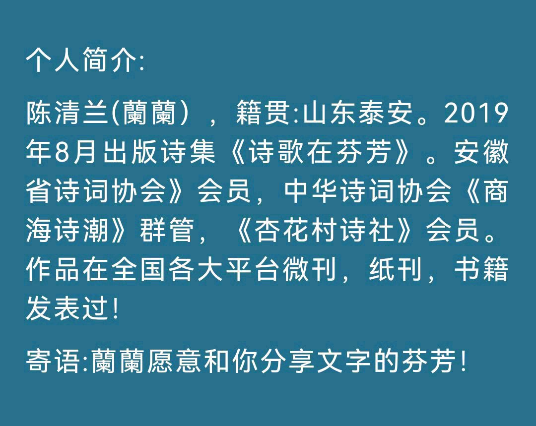 【北京头条】分享优秀诗人陈清兰《转身》请欣赏（图10）