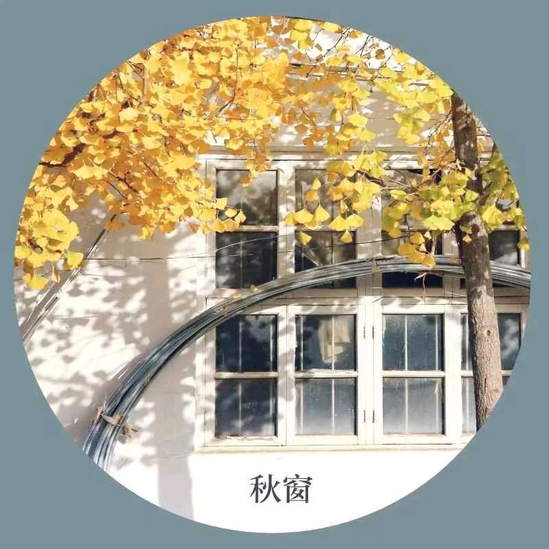 【国风湖南】第40期 玲珑一扇纳光明