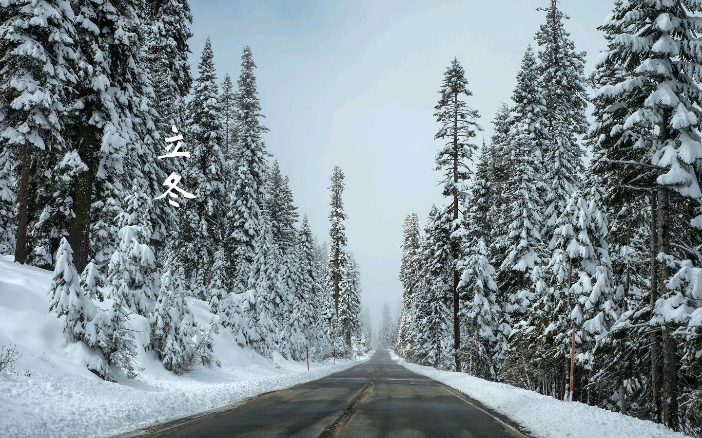 【枫雅汇看图约诗】诗人陈江《245期》（立冬 在中国的大地上）（图4）