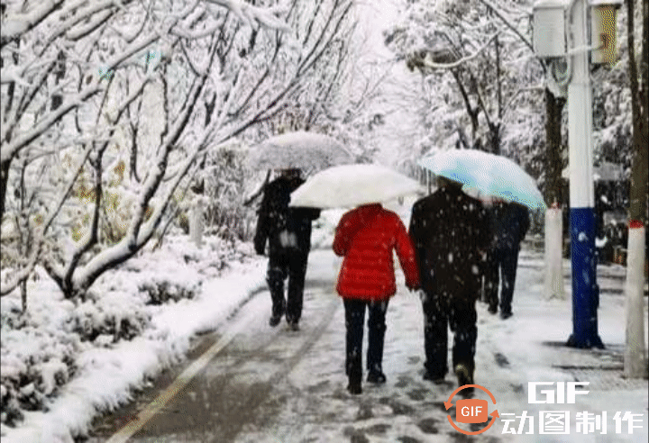 【中华好诗词】分享优秀诗人张泽贵老师《癸卯立冬咏怀》请欣赏（图5）