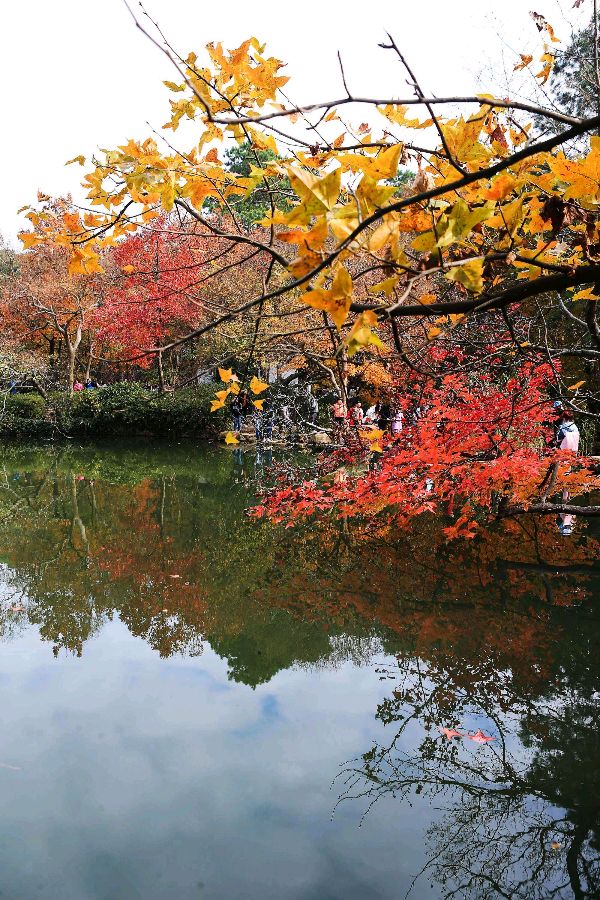 【枫雅汇看图约诗】第310期《晚秋》（图12）