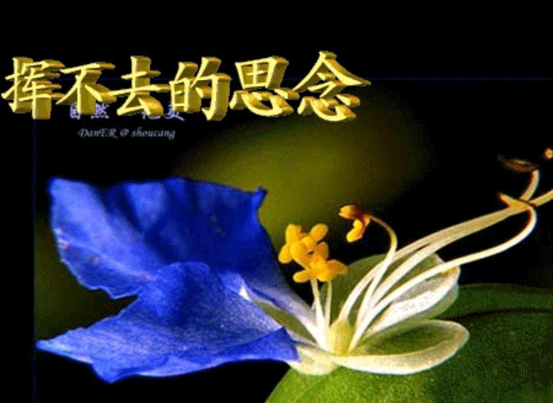 【中国文化进万家】请您关注优秀诗人牟福香老师《七律·寒衣节祭》（图6）