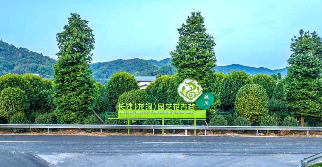 龙洞新村专刊