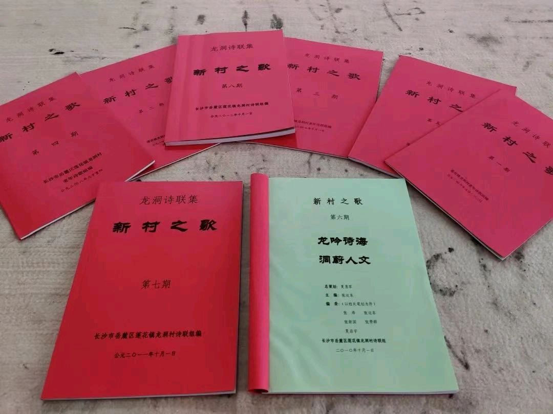 龙洞新村专刊(图3)