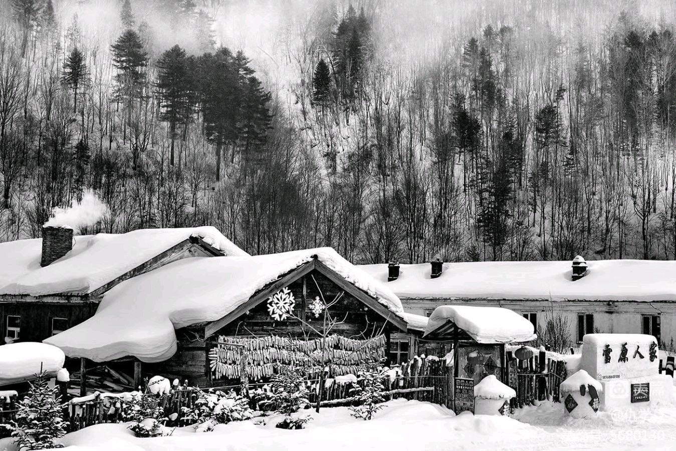 雪乡-文/雪荷仇学慧-西银/北京头条（图2）