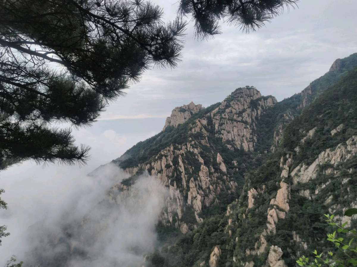 【神都诗社】第073期《泰山》（图23）