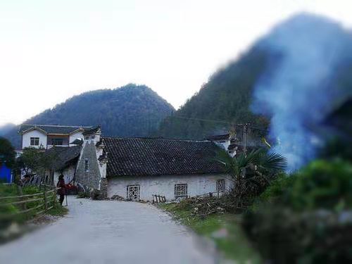 故乡,游子不会走远-文/史会生-西银/北京头发(图2)