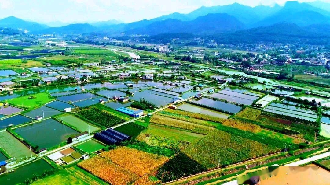 【枫雅汇看图约诗】第312期《沃土》（图5）