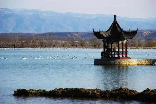 《风陵渡:一首优美和谐的诗篇》作者: 何喜牢 主播:蝴蝶兰（图4）