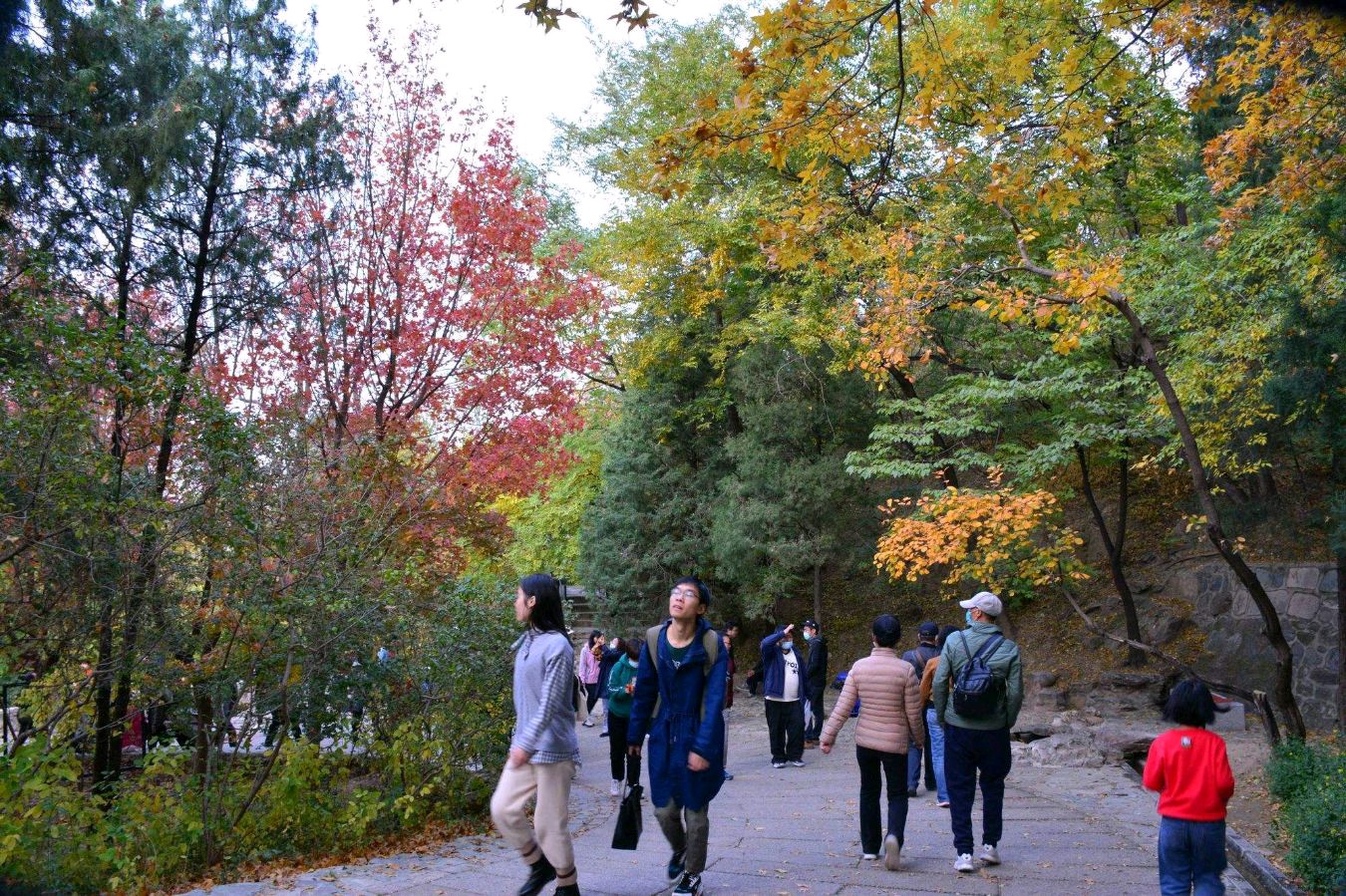 【中国好诗词】分享优秀诗人裕祥老师诗词一组请欣赏(图11)