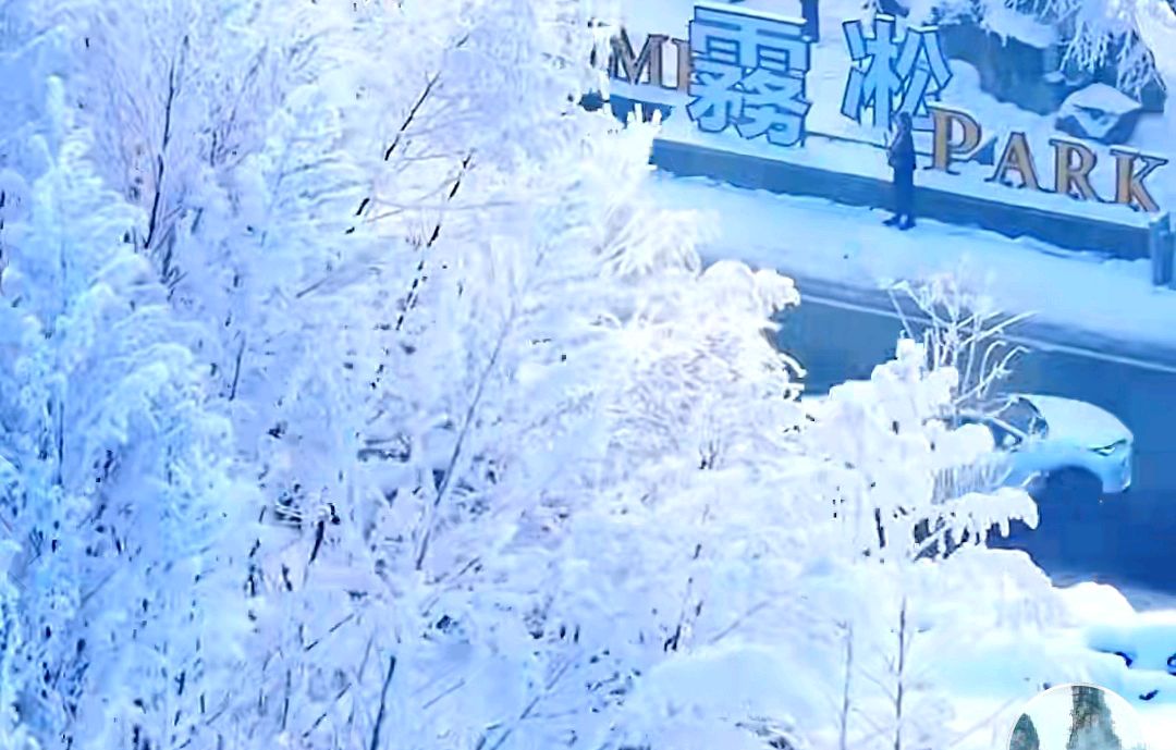 【中华好诗词】分享优秀作家诗人姚树学老师《七律·小雪》请欣赏（图5）
