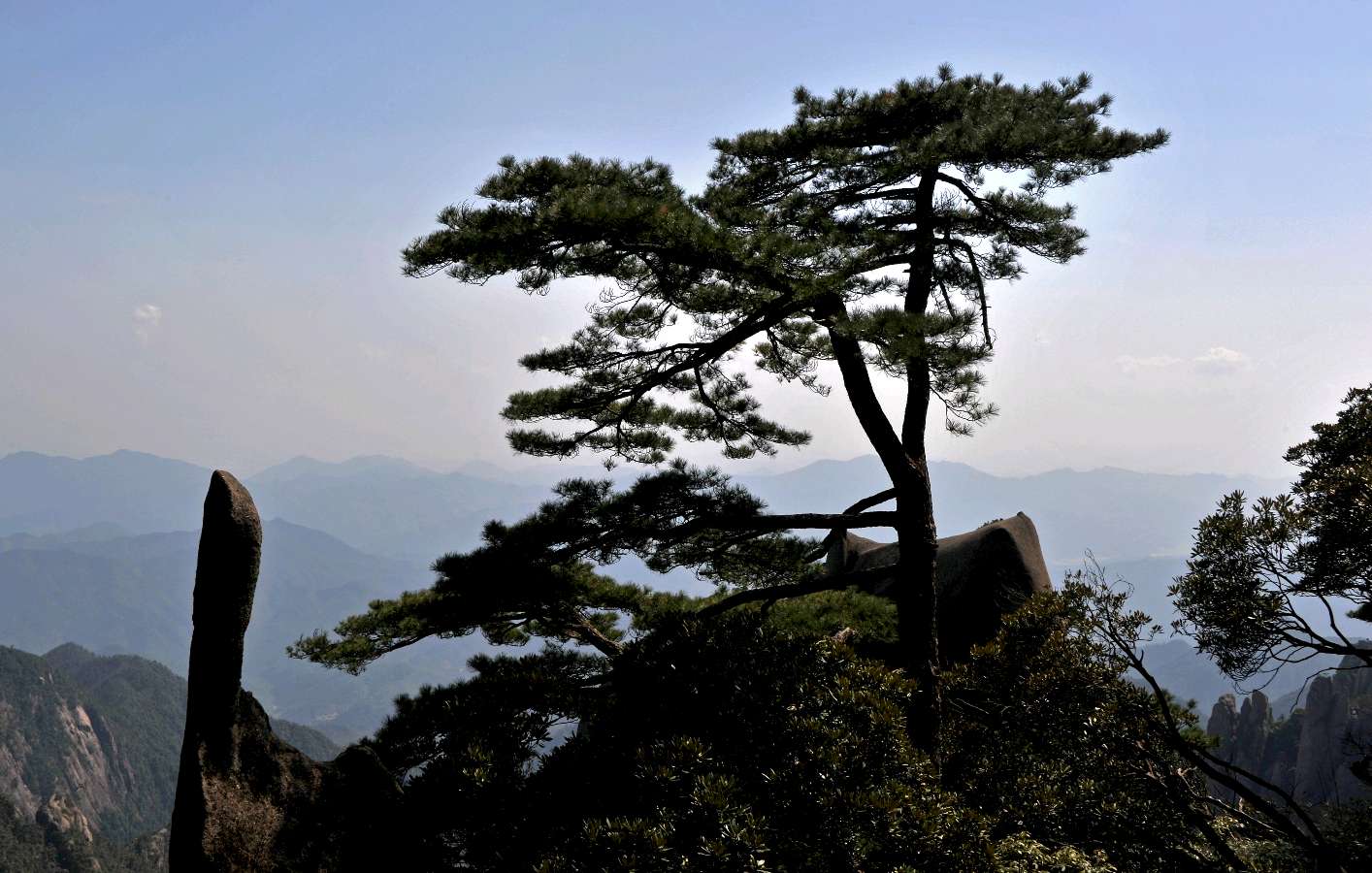 【神都诗社】龙门诗苑第03期《青松》（图7）