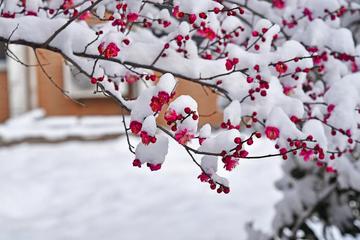 【中华好诗词】分享优秀诗人粟灯老师诗一组请欣赏（图6）