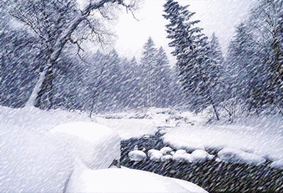 【中华好诗词】分享（内蒙）优秀诗人马玉珂老师《雪》请欣赏（图6）