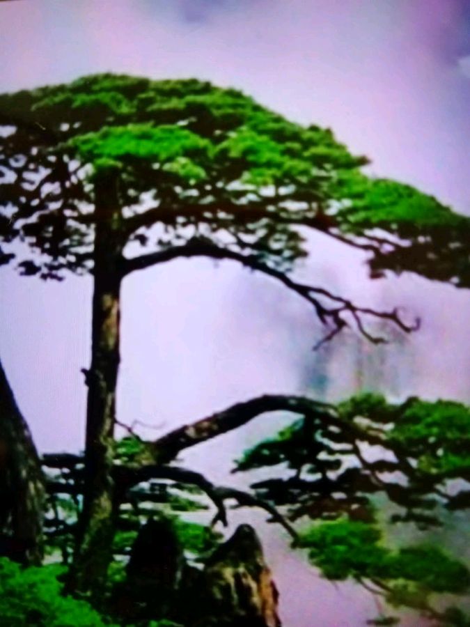 安徽六日游吟-作者/云三乐/西银/北京头条（图2）