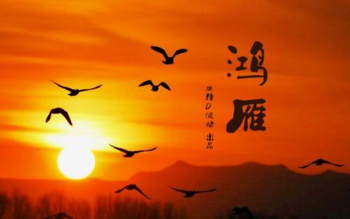 【枫雅汇看图约诗】第314期《羁旅天涯，信托鸿雁》（图2）