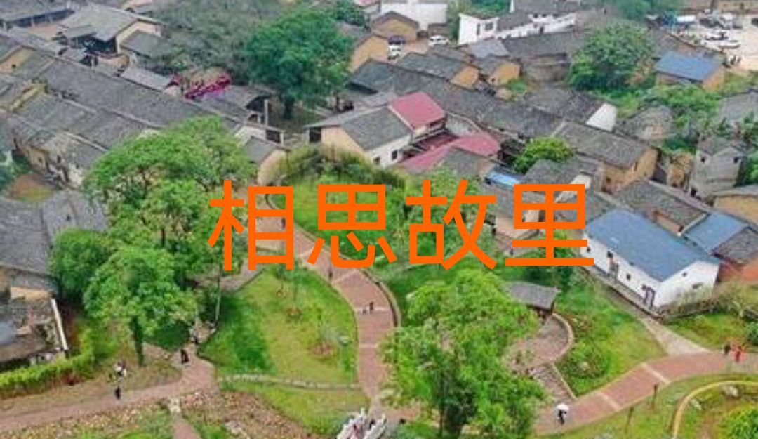 【中华好诗词】分享优秀诗人牟福香《七律·红梅赞》外两首请欣赏（图6）