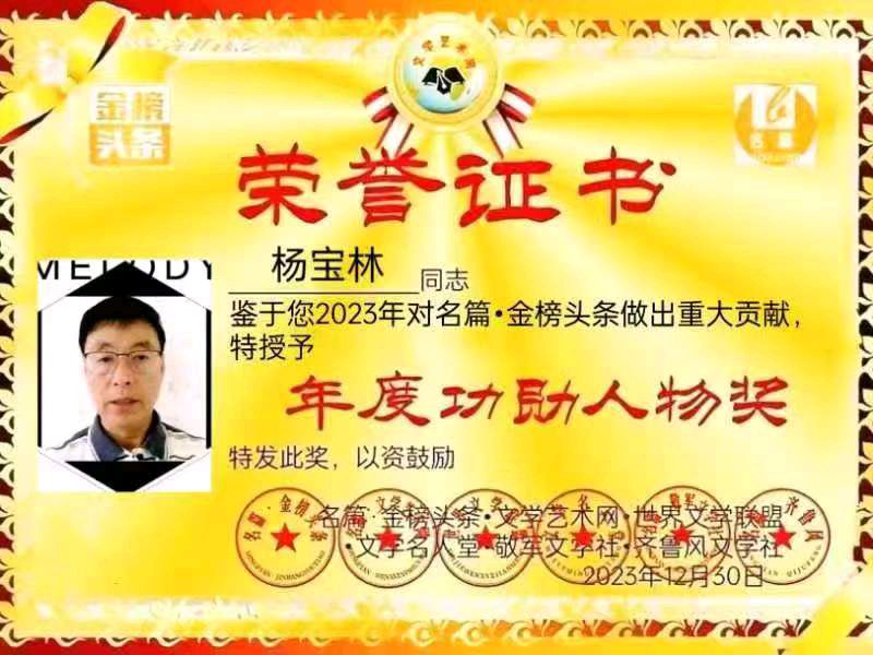 【中华好诗词】分享（黑龙江）优秀诗人杨宝林诗两首请欣赏（图5）