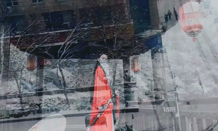 【中华好诗词】分享优秀诗人王秋英女士《雪夜》请欣赏（图6）