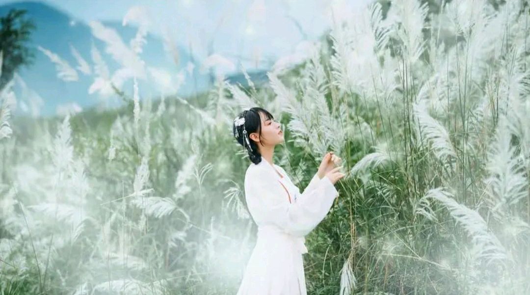 【华夏周刊】第171期合辑(图2)