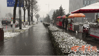 【中华好诗词】分享（黑龙江）优秀诗人陈雪云老师《雪和雨和风》请欣赏（图6）