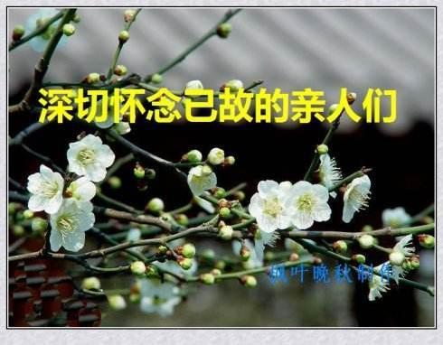 【中华好诗词】分享（陕西扶风）李周省老师《永远怀念大姐》外两首（图7）