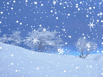 【中华好诗词】分享（山东青州）优秀诗人顾传高老师《大雪》请欣赏（图5）
