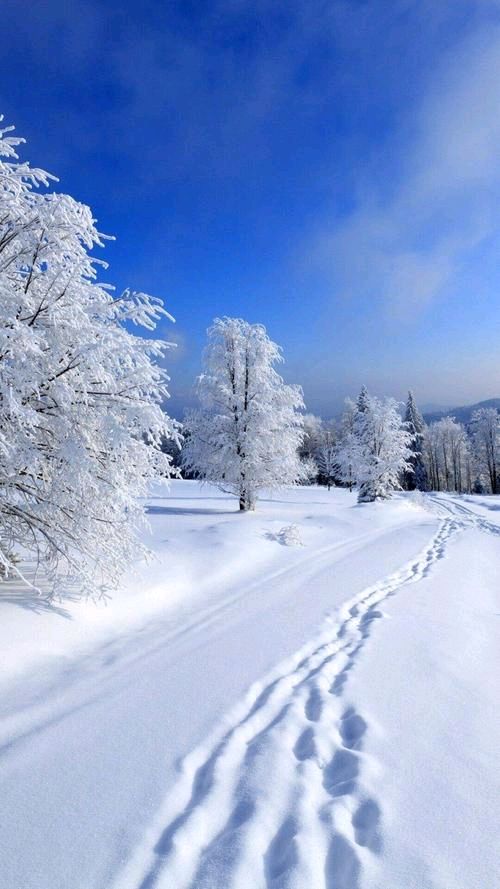 【神都诗社】龙门诗苑04期《大雪》（图4）