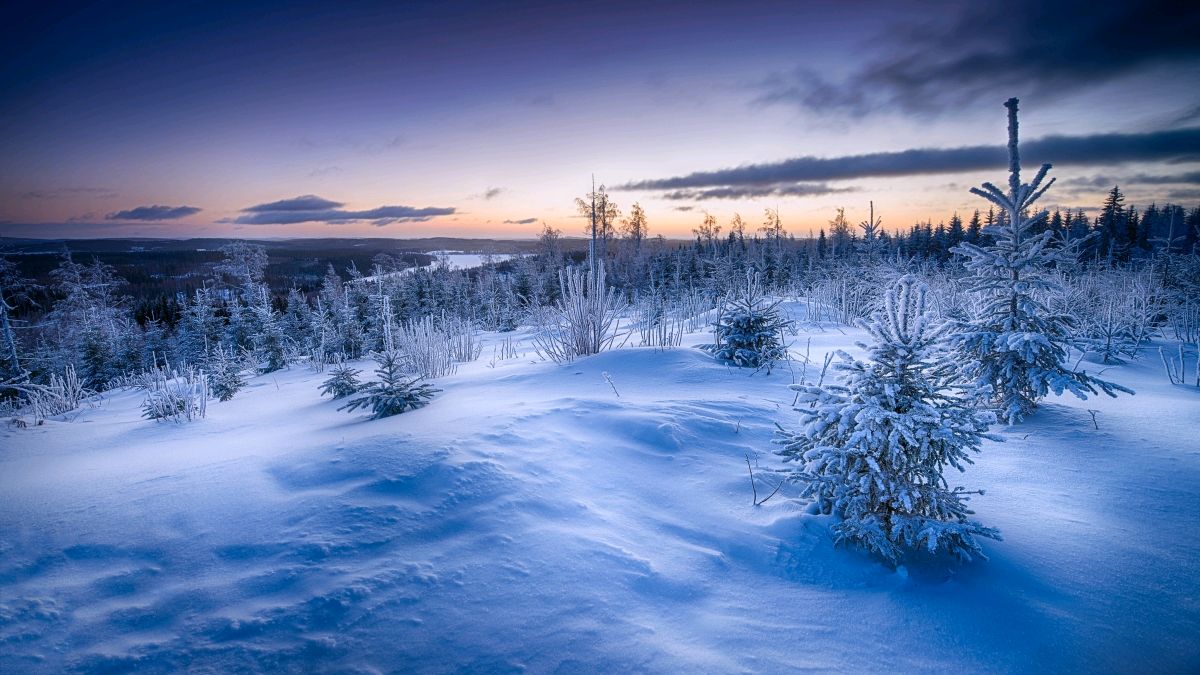 【神都诗社】龙门诗苑04期《大雪》（图8）