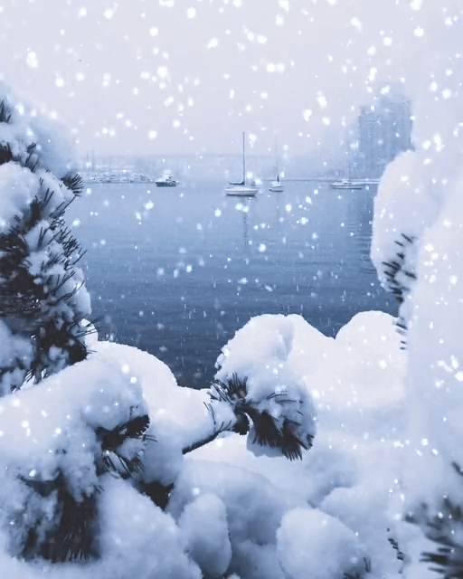 【神都诗社】龙门诗苑04期《大雪》（图15）