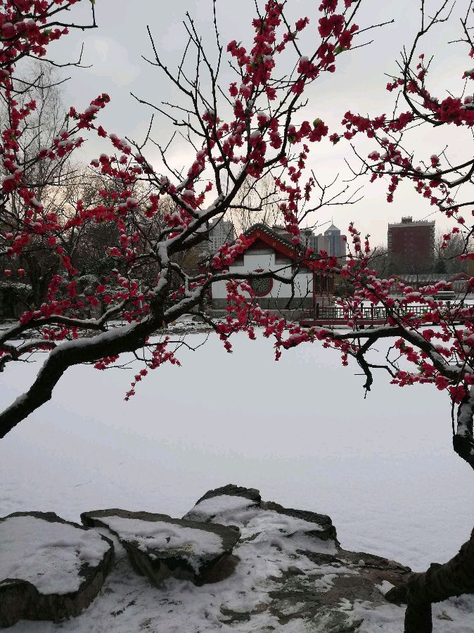 【神都诗社】龙门诗苑04期《大雪》（图24）