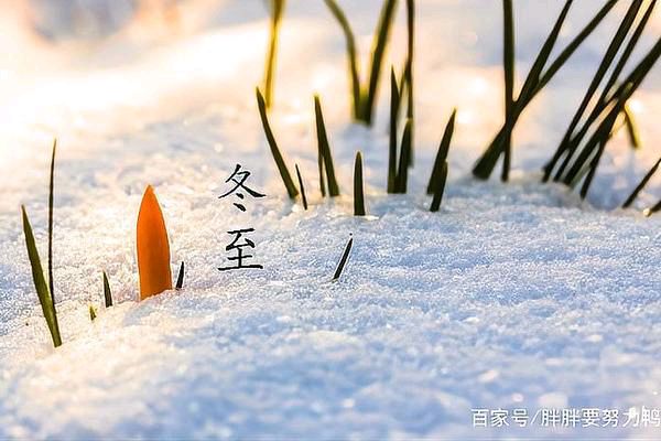 【中华好诗词】分享骄杨诗词一组请欣赏（图9）